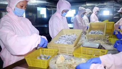 半島味道獻(xiàn)禮 一份滿載象山風(fēng)情的海鮮禮包，獻(xiàn)給最珍貴的您