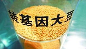 金龍魚陷轉(zhuǎn)基因門風(fēng)波 專家稱安全性尚無定論，對酒類經(jīng)營有何啟示？